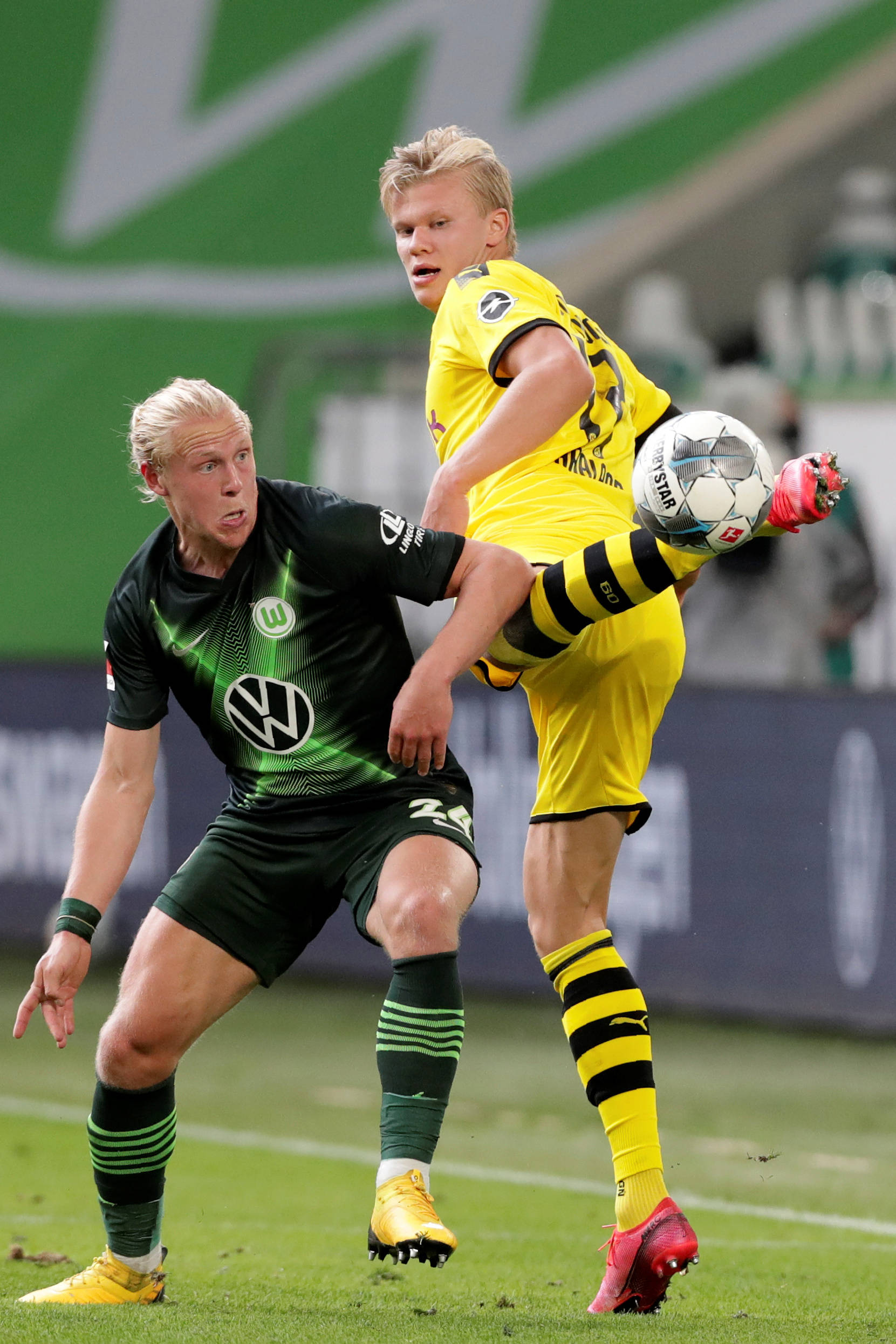 特的辉煌 特的辉煌