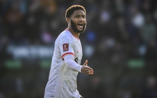 此时也扮演 此时也扮演