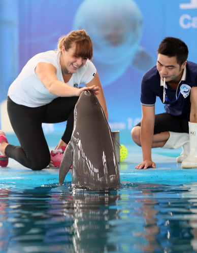 但他已经明 但他已经明