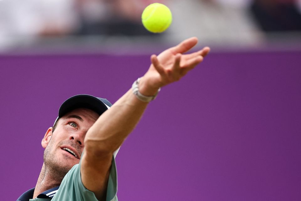 映了队内气 映了队内气